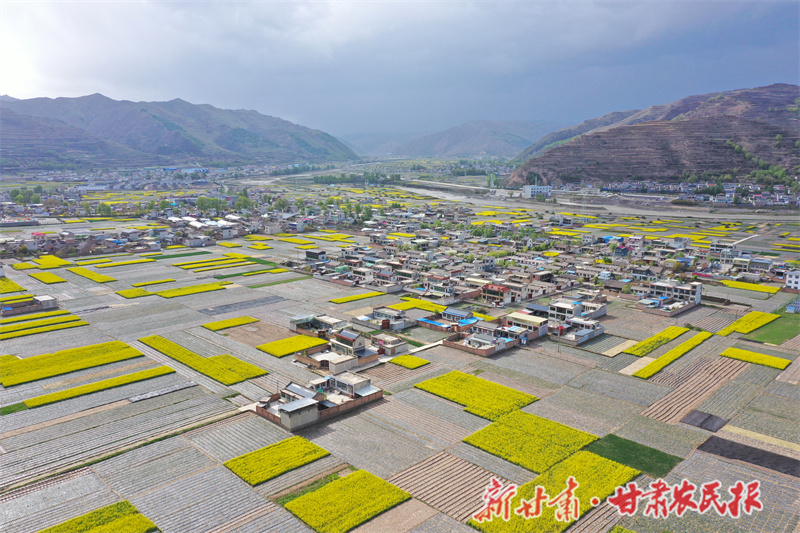 美丽的生态田园