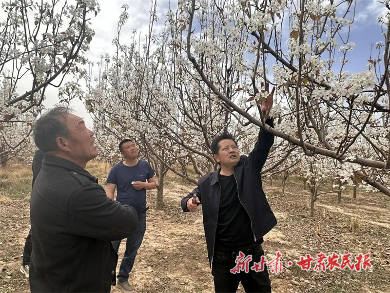 “林果专家”朱会文