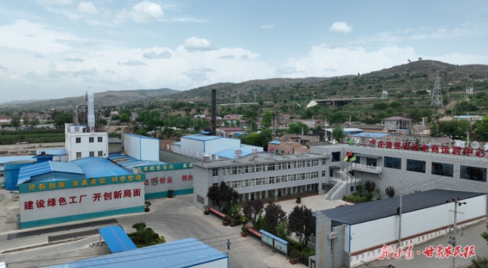 庄浪：发展新质生产力 乡村振兴添“薯”光