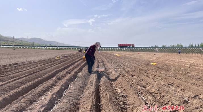 崆峒区：特色产业唱响乡村振兴“协奏曲”