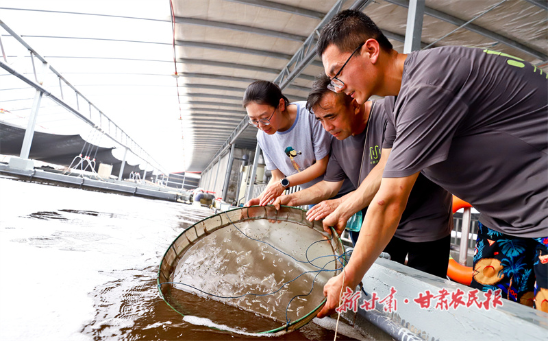 白对虾养殖基地