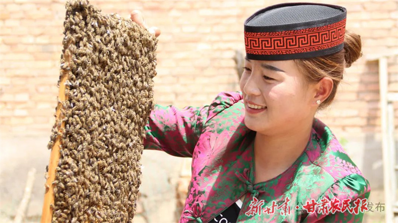 苏亚丽 “甜蜜”产业酿出好日子