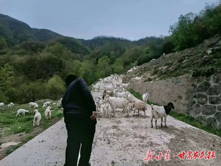 康县:为残疾人创业就业“铺路架桥”