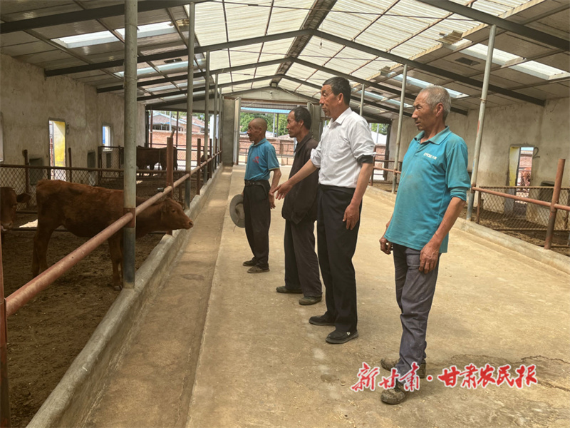 灵台北张村里有个“牛”支书