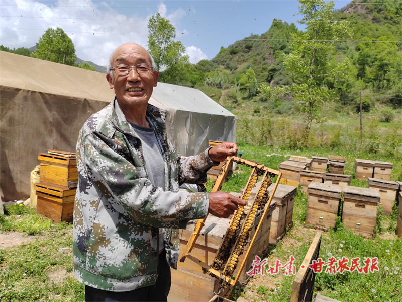 苟登浦 小蜜蜂酿出“甜”生活