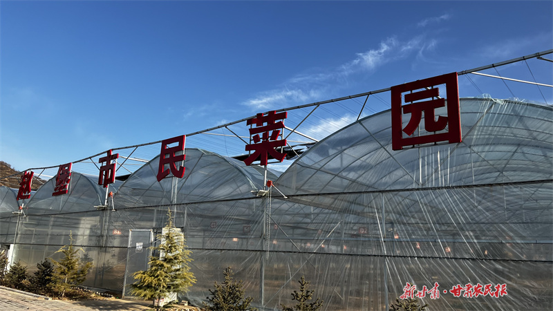 崆峒:乡村蝶变促“和美”助“振兴”