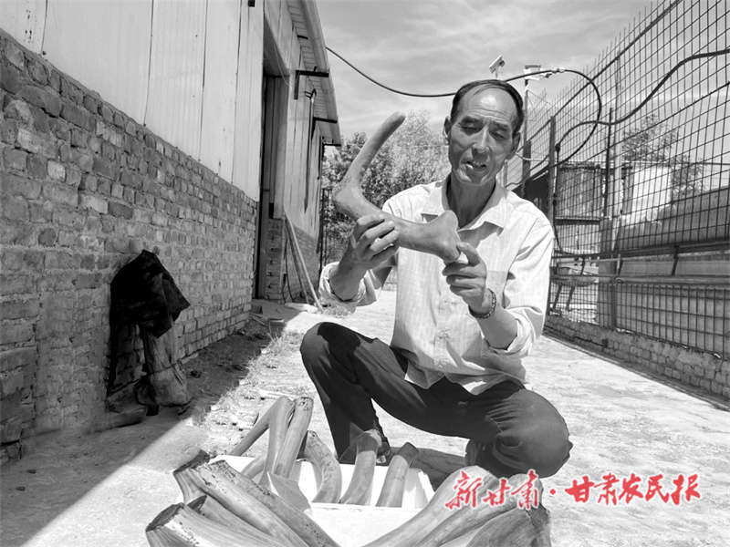 于成科:特色养殖致富有“鹿”