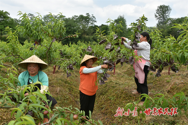 给水蜜桃套袋