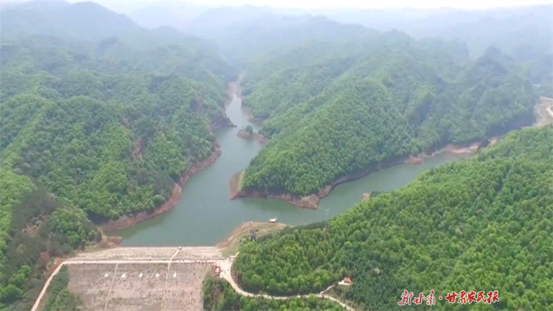 静宁：写好“绿色文章” 绘就“生态画卷”