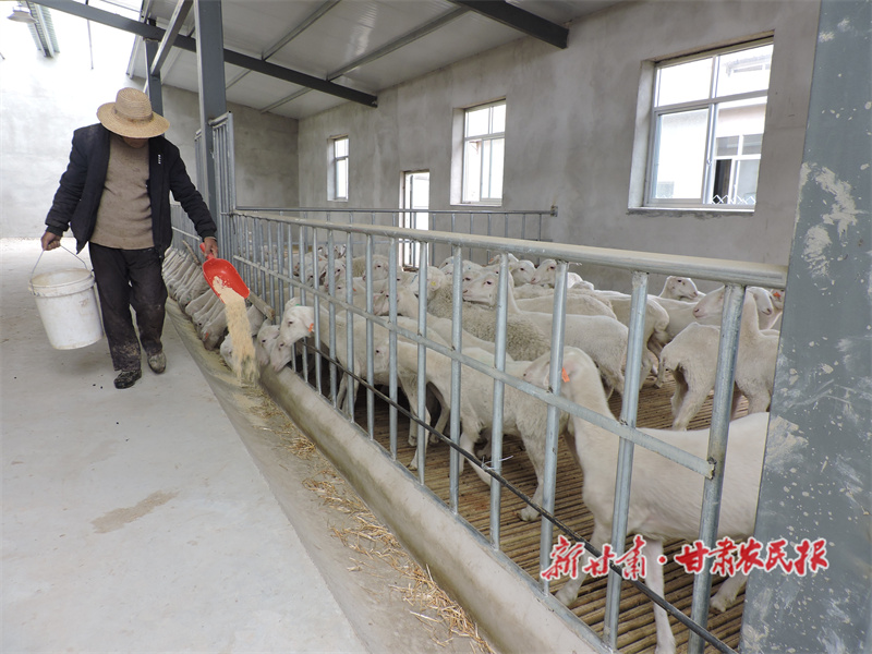 新寨镇 党建引领 产业富民
