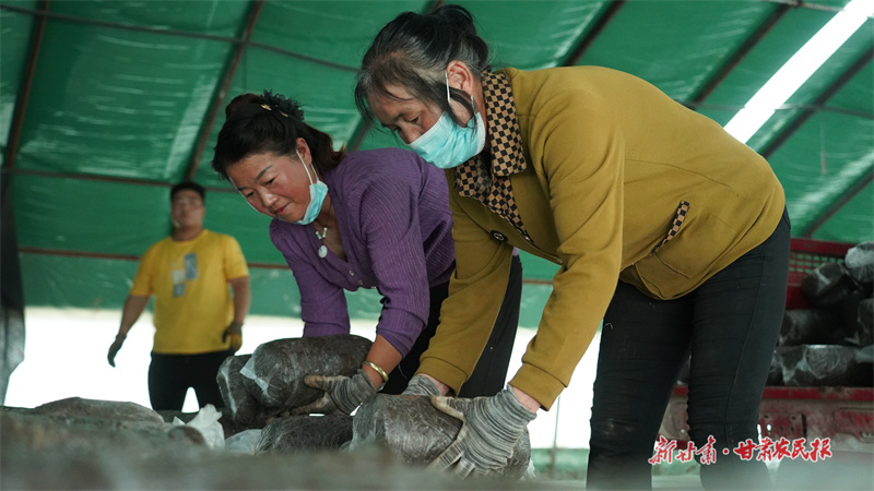 静宁：“归雁”郭永红，引来循环产业助振兴