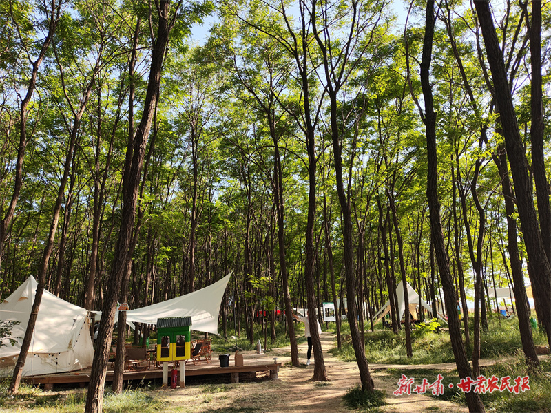 崆峒区：“小岔村”发出“新名片”

