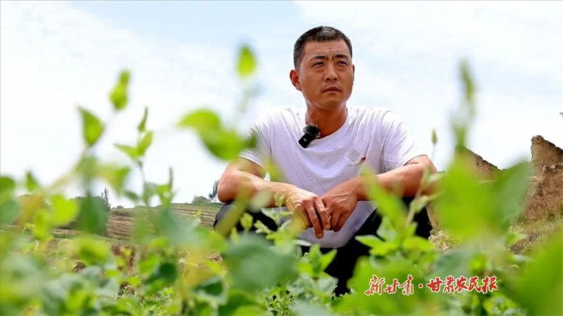 王军军：“新农人”走上新路子