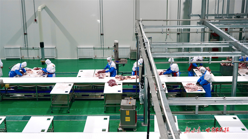 静宁：“链”上发力助推牛产业发展