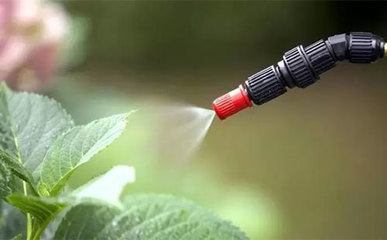 农药的选购及安全使用