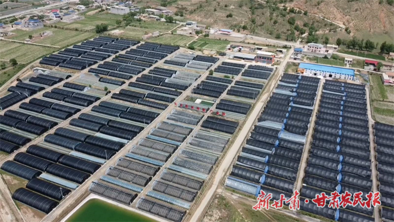 现代农业产业设施 助推农业现代化进程——东乡县沿川经济带开发建设见闻