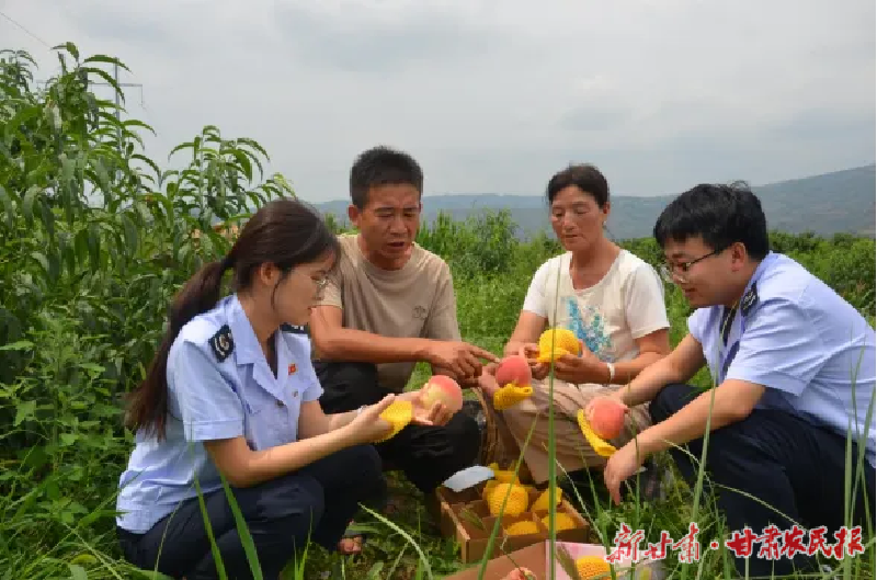 甘肃：“税动力”精准滴灌 创业投资者信心十足