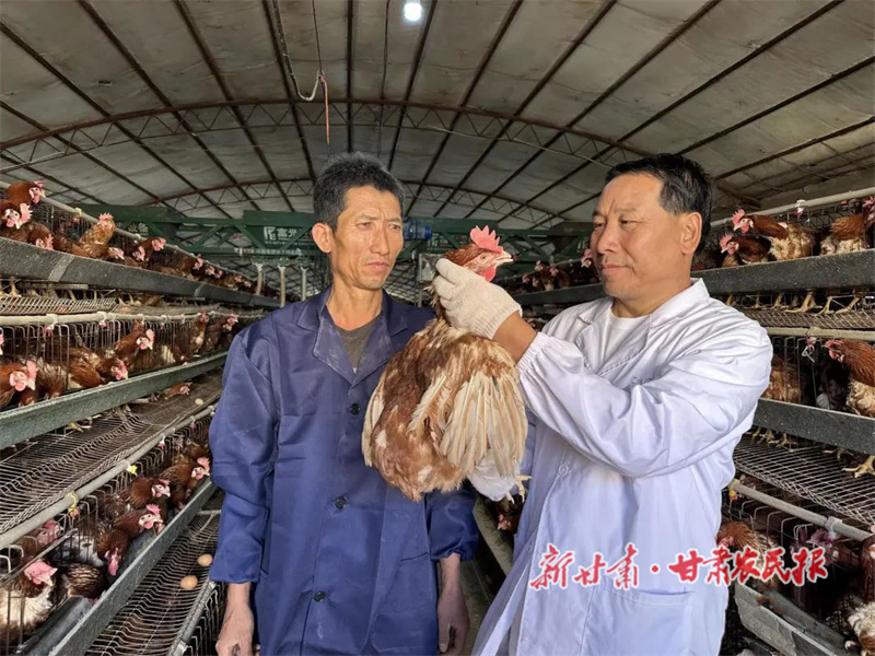 石玉祥：蛋鸡养殖拓宽致富路
