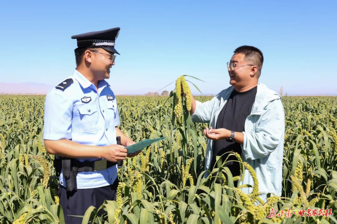 做实“田间警务” 护航秋收警相随