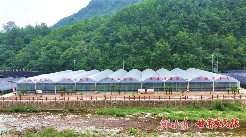 康县三河坝镇：特色产业“生金” 增收致富“有道”