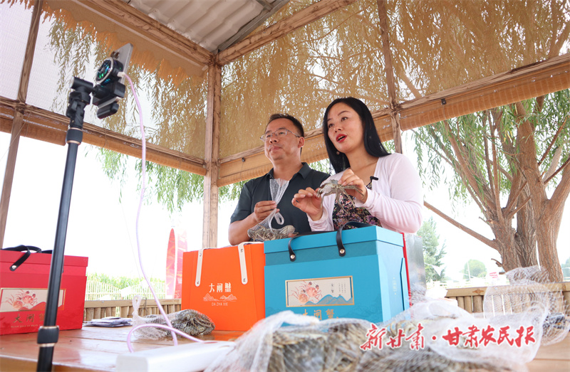 临泽 内陆螃蟹抢“鲜”上市
