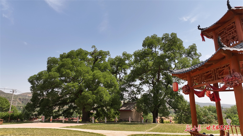 崇信：古韵新风，绘就和美乡村画卷