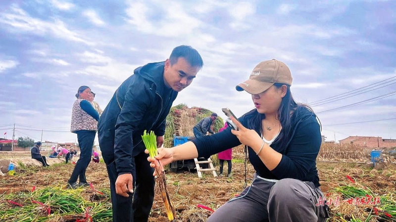 爆卖240万！这个女娃把靖远红葱卖火了