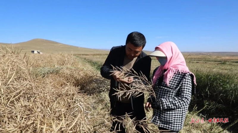 种植大户张得宝的转型之路
