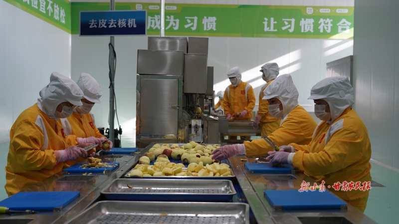 苹果深加工标准化车间