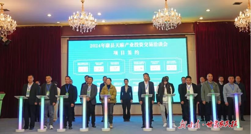 康县：共绘天麻全产业链发展新图景