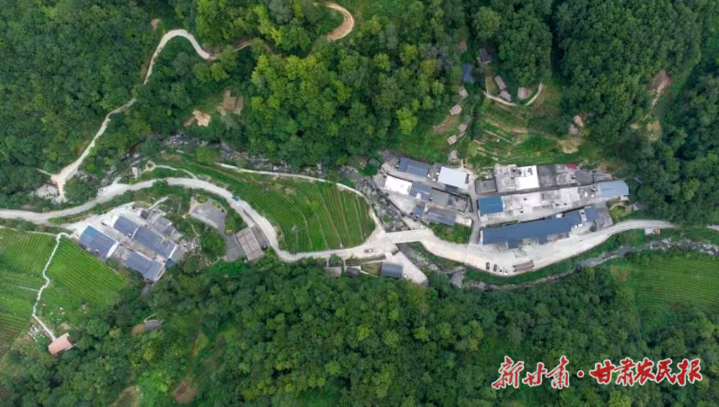 康县：“共同发展”开辟稳定增收新路径