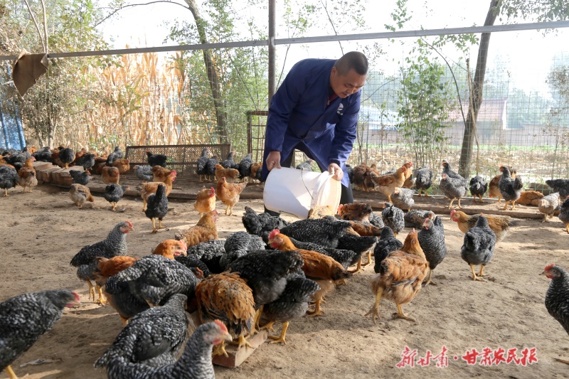 苟文清：返乡创业 巧念生态致富经