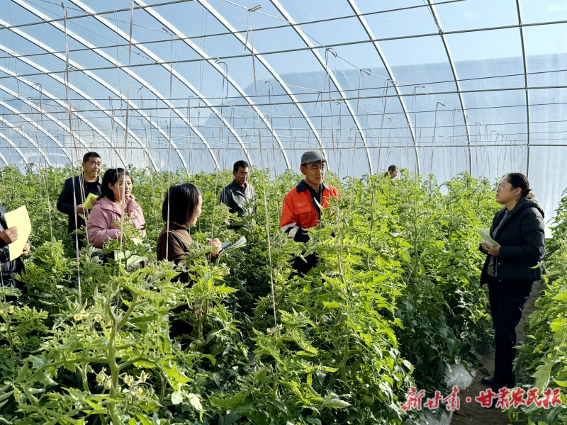 农技人员田间指导