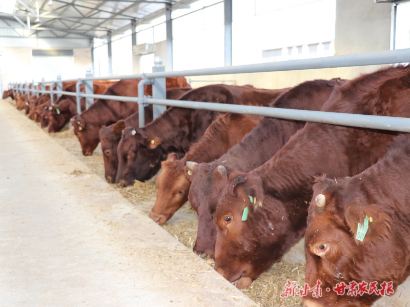 吴春刚：“新农人”引领“兴农潮”