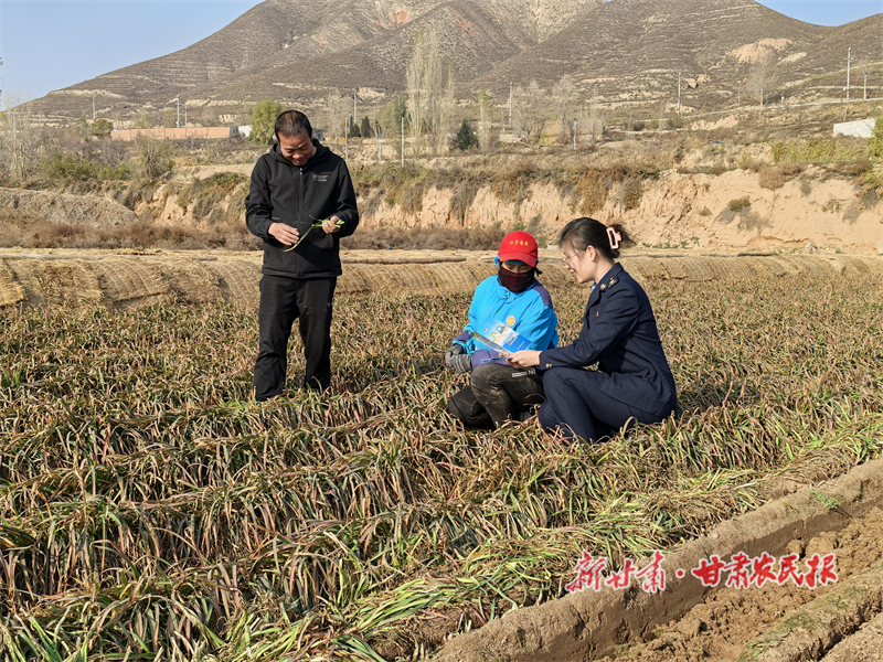 西固：税惠赋能 共绘“丰”景