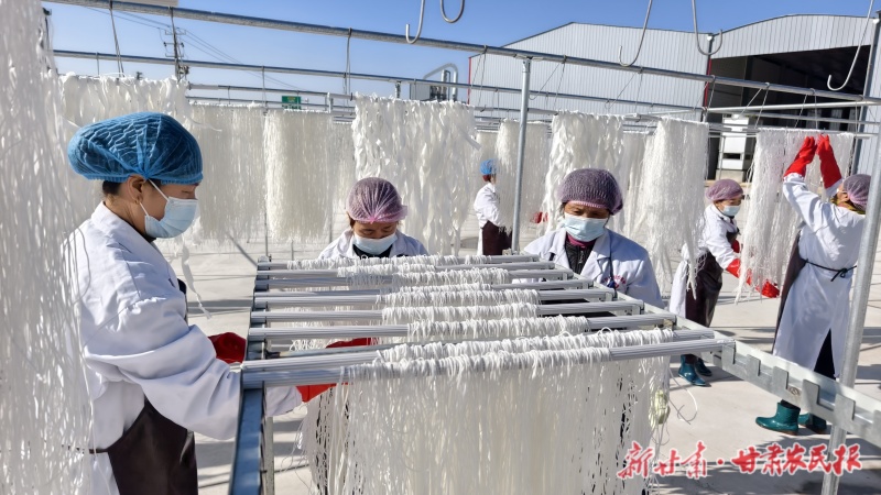 张家川 年产3000吨粉条加工生产线投运
