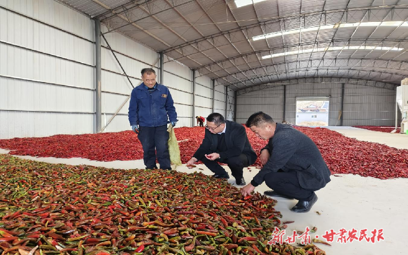 白银市平川区：“跨村联建”谋发展 携手并进促振兴