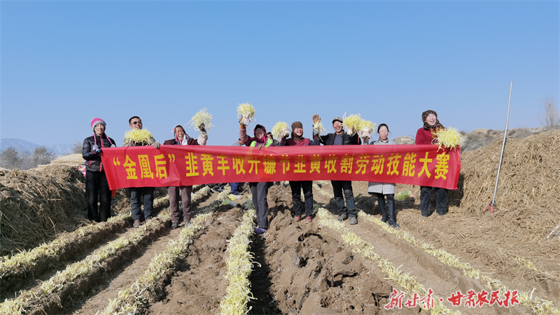 展技能 亮风采！西固区举办韭黄收割劳动技能大赛