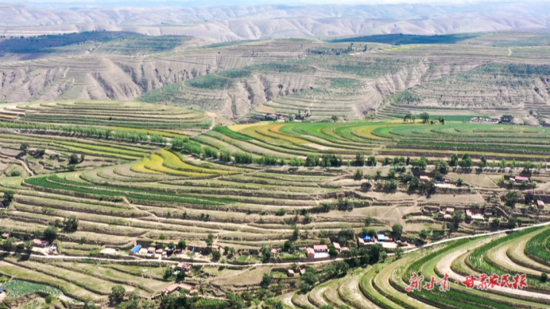 迁入幸福新家园 昂首启航新生活——平川区复兴乡党建引领易地扶贫搬迁点后续治理提质增效