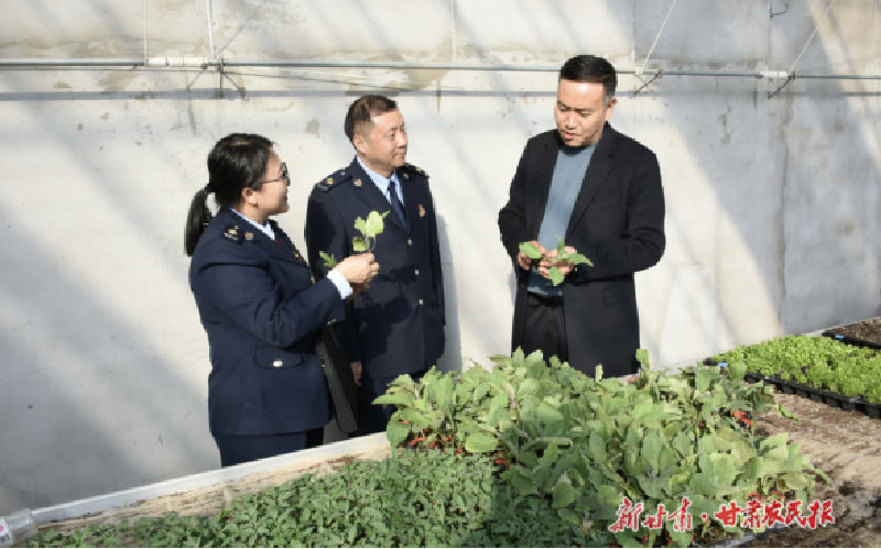 武威：为“菜篮子”注入税惠“养分”