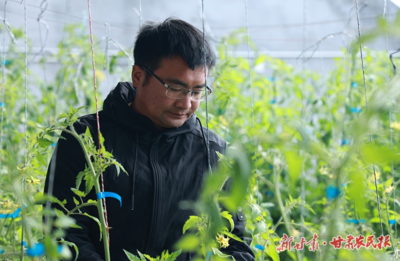 王廷平 引领“棚”内繁荣