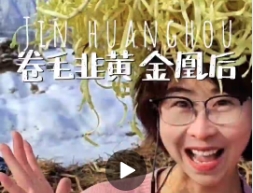 【短视频】用电影镜头打开西固“金凰后”韭黄