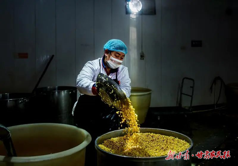 【图片新闻】天祝：小小豆腐坊“磨”出致富路