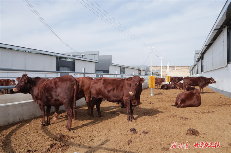 崆峒区：多元“造血”壮大村集体经济