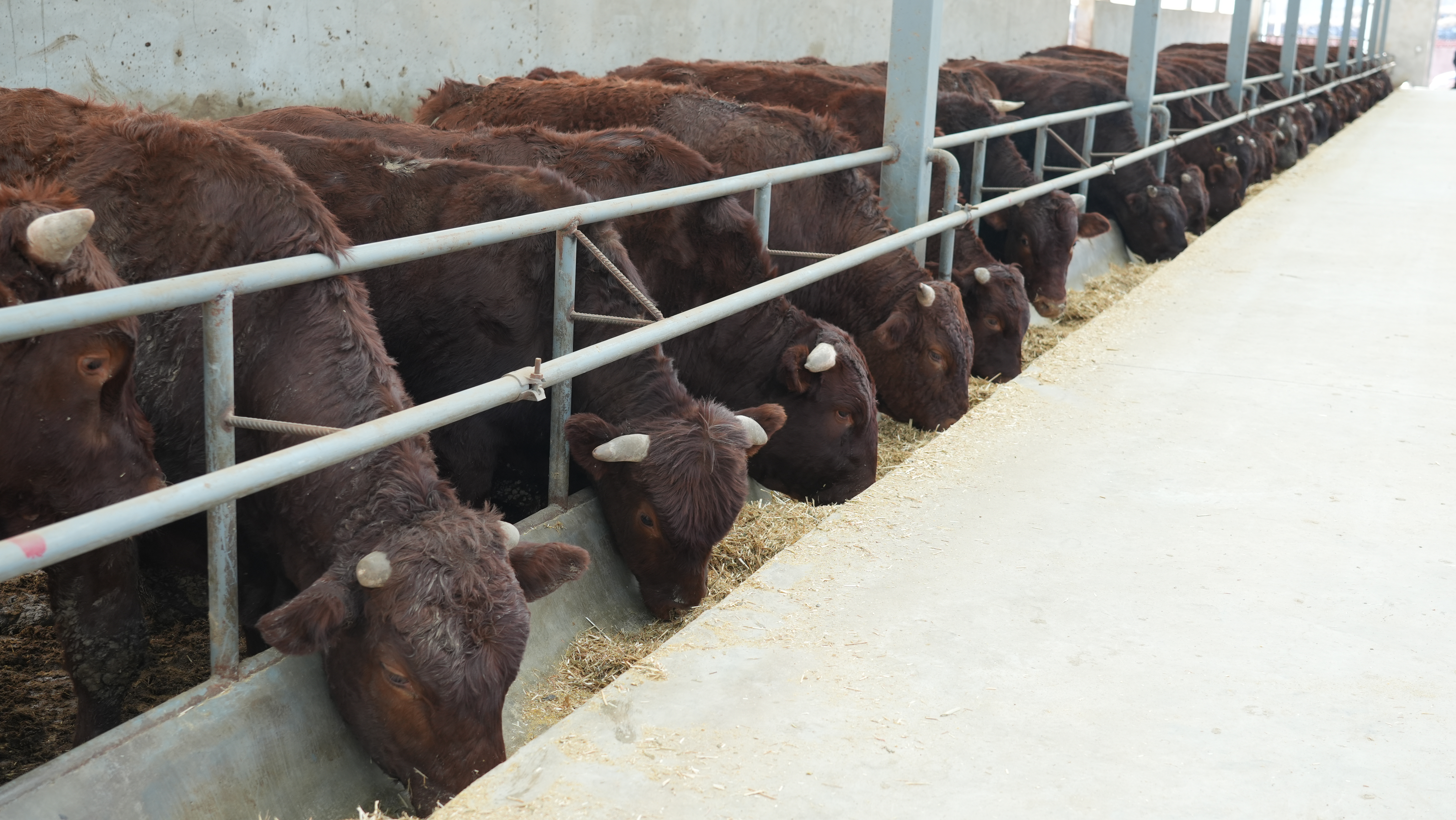 崇信：“同心犇富”促发展