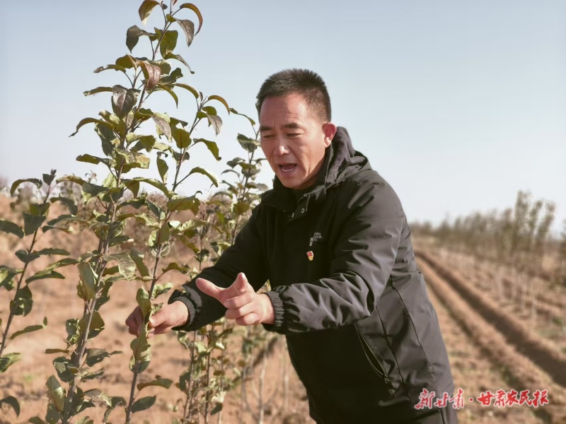 安永军 点燃安冯村希望之光的“领路人”