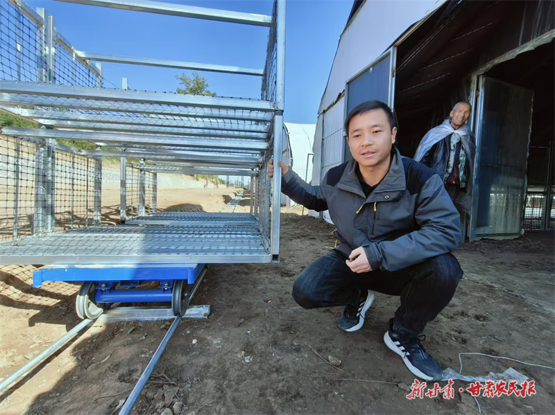 灵台：杨立刚，蘑菇大棚引进“小火车”