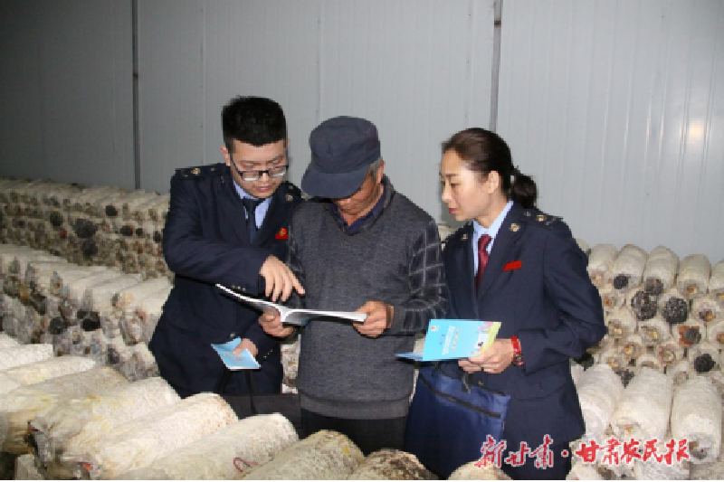 庆阳:以税惠农 铺就菌菇产业发展致富路