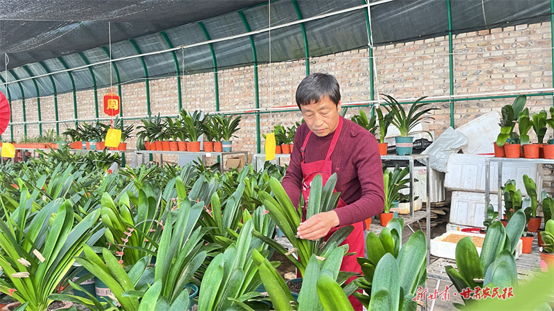 崆峒区：花卉产业绽放“美丽经济” 