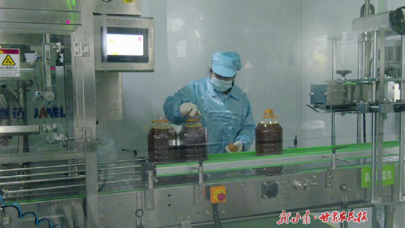 凉州：深耕“土特产” 强农促振兴